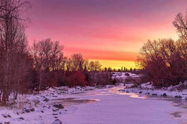 istock Warm Sunrise Over A Winter Park 1296059476