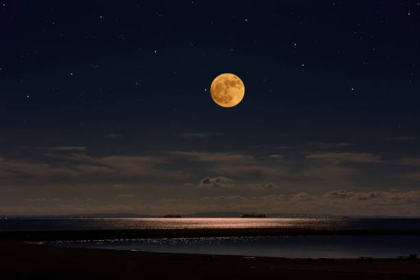 Full moon rising over the Tokyo bay area with copy space.