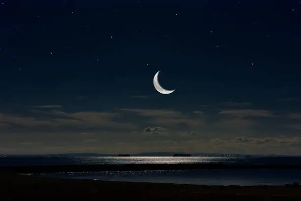 Crescent moon rising over the Tokyo bay area with copy space.