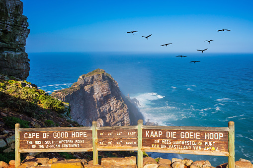 Cape Of Good Hope Pictures | Download Free Images on Unsplash