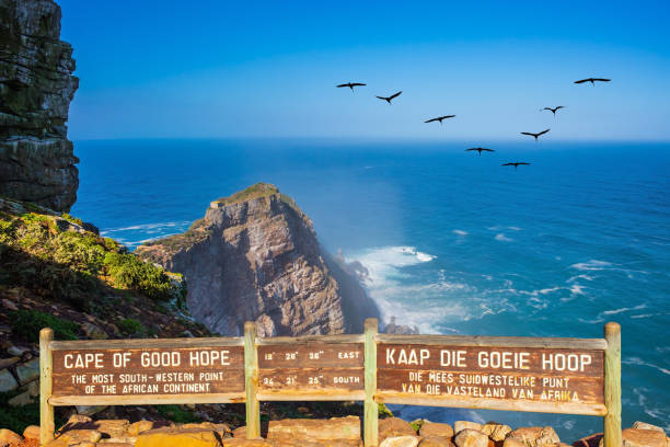 Flock of birds over the raging surf Cape of Good Hope at the southern tip of the Cape Peninsula, South Africa. White foam of the ocean surf. Bright sunny summer February day. Flock of migratory birds over the raging surf. cape peninsula photos stock pictures, royalty-free photos & images