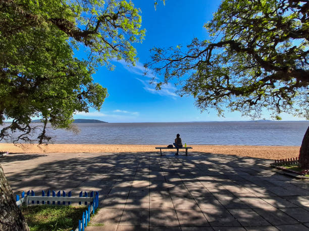 ипанема дощатый - ipanema district стоковые фото и изображения