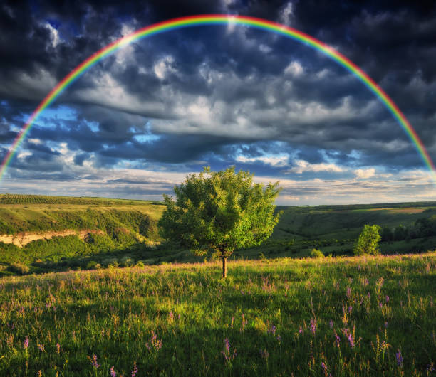 istock Rainbow over a meadow in the spring. colorful morning 1296072119