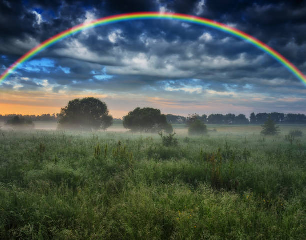 istock Rainbow over a meadow in the spring. colorful morning 1296072122