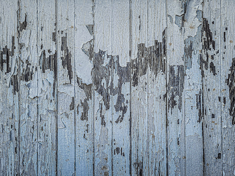 This is a photo of a old wooden barn wall that can work well as a background texture with peeling blue paint