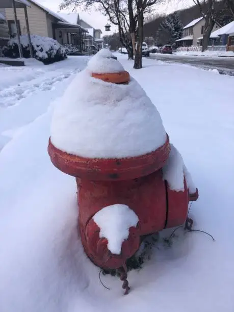 Photo of Fire hydrant under snow