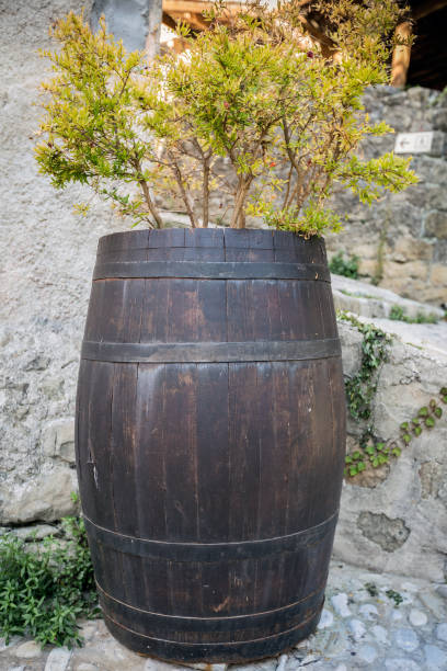 istock Coaraze, United Kingdom 1296078527