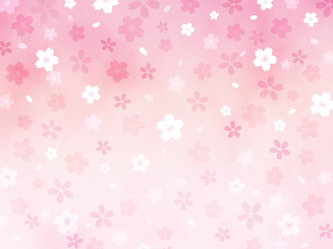 Sakura Background Material Stock Illustration - Download Image Now ...