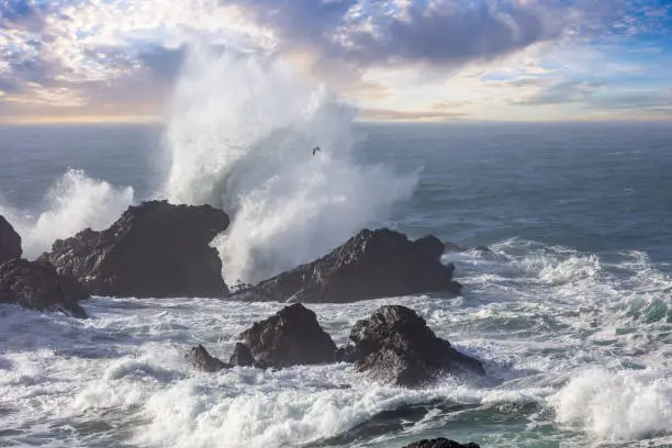 Photo of Ocean wave breaking, Pacific Ocean, California