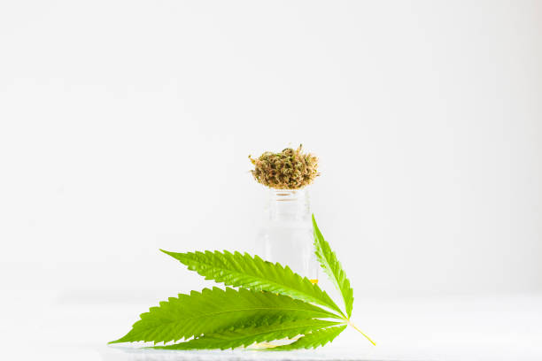 istock Medical marijuana cannabis cbd oil 1296085038