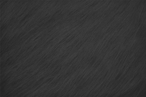 ilustrações de stock, clip art, desenhos animados e ícones de dark grey black coloured scratched hairy textured empty blank backgrounds - fiber backgrounds textured black