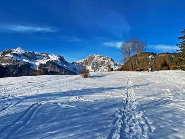 neve bianca innocentemente limpida sulle cime alpine schofwisspitz, schwarzchopf e stoss nella catena montuosa dell'alpstein e nel massiccio delle alpi di appenzello - canton san gallo, svizzera (schweiz) - european alps cold mountain range clear sky foto e immagini stock