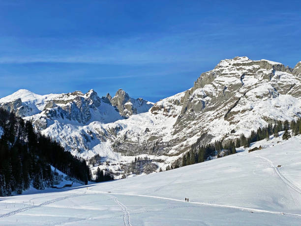 neve bianca innocentemente limpida sulle cime alpine schofwisspitz, schwarzchopf e stoss nella catena montuosa dell'alpstein e nel massiccio delle alpi di appenzello - canton san gallo, svizzera (schweiz) - european alps cold mountain range clear sky foto e immagini stock