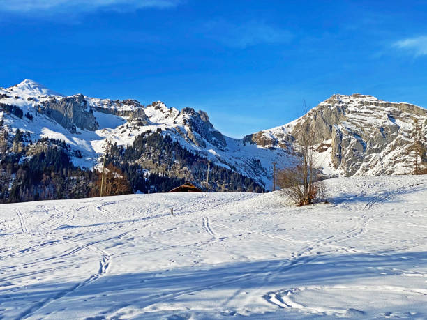 neve bianca innocentemente limpida sulle cime alpine schofwisspitz, schwarzchopf e stoss nella catena montuosa dell'alpstein e nel massiccio delle alpi di appenzello - canton san gallo, svizzera (schweiz) - european alps cold mountain range clear sky foto e immagini stock