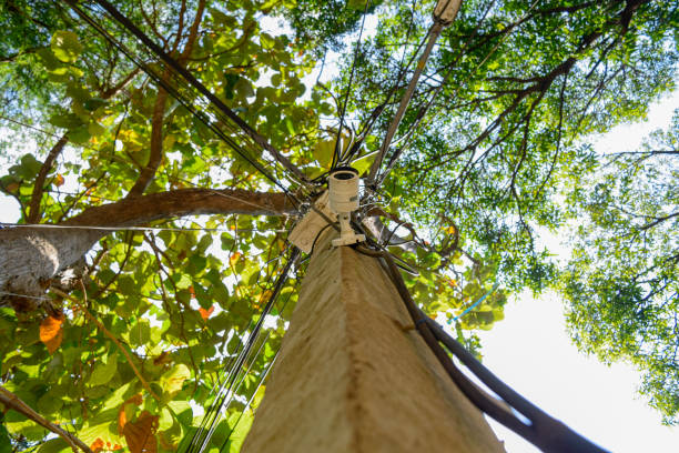 istock Low angle view of the light pole, CCTV installed. 1296091156