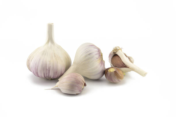 istock Garlic bulbs and cloves in close-up on white 1296091920