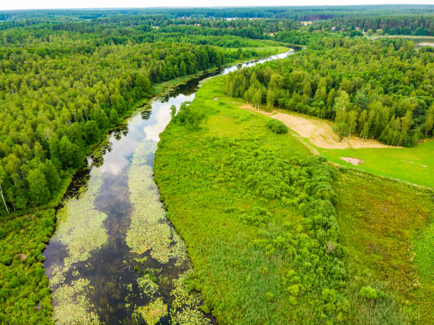 istock Krutynia river Masuria, Poland. Aerial view 1296093965
