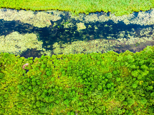 istock Krutynia river Masuria, Poland. Aerial view 1296094558