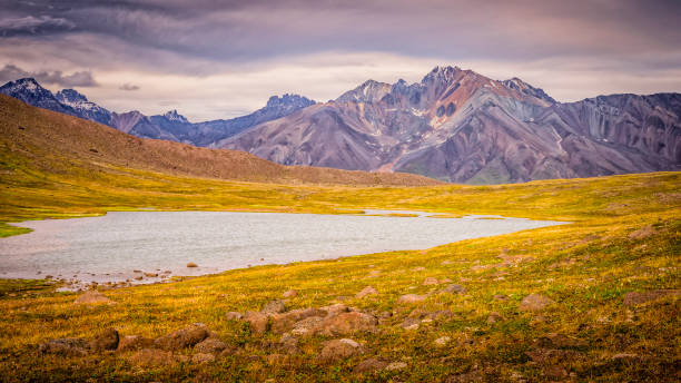 istock Wrangell St. Elias National Park Alaska (Panoramas) 1296094887