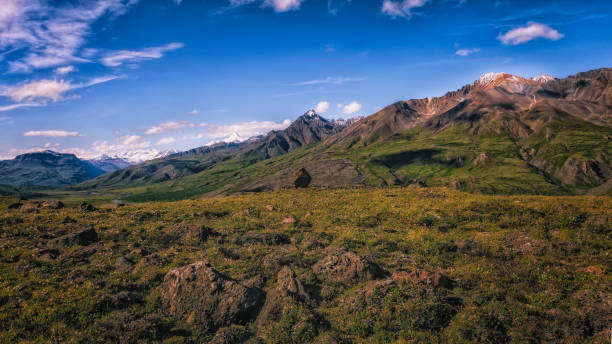 istock Wrangell St. Elias National Park Alaska (Panoramas) 1296094970