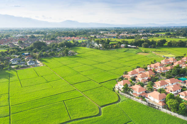 istock Aerial of housing subdivision or development. 1296096689