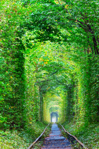 istock ukraine, tunnel of lovers 1296100255