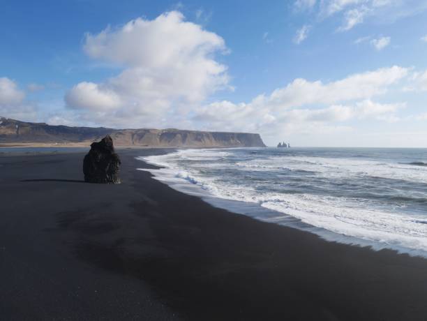 istock Travel in Iceland 1296100387