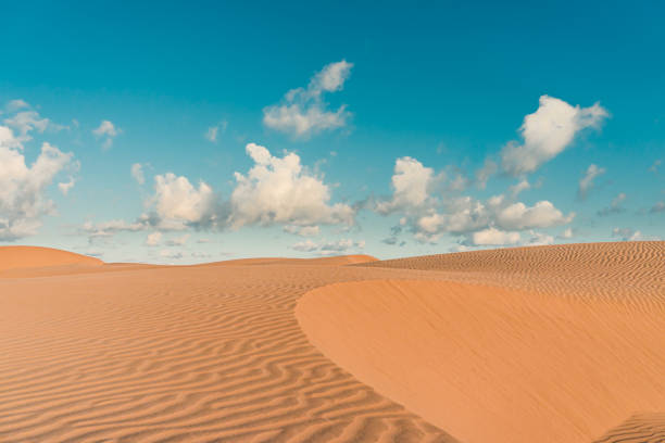 istock The Sand Dunes of Oetune Beach 1296103979