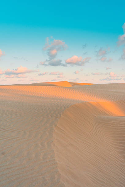 istock The Best Sahara in Indonesia 1296104216