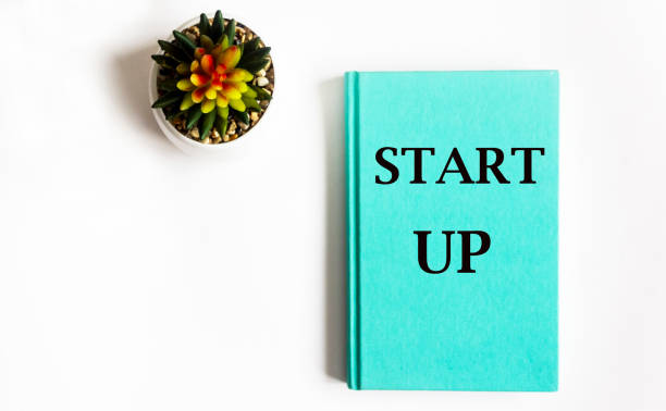 istock Notepad with text Start Up on the table with cactus flower on white background 1296106268