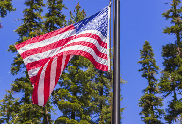 istock Stars and Stripes, USA Flag 1296107731