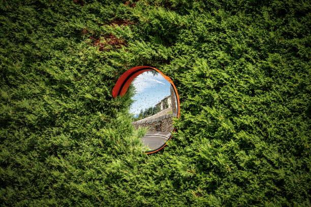 Closeup of a circular safety road mirror partially covered by a green hedge. Italy, Europe.