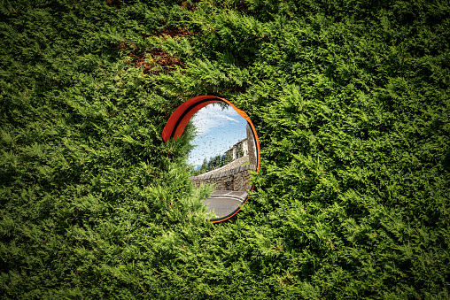Closeup of a circular safety road mirror partially covered by a green hedge. Italy, Europe.