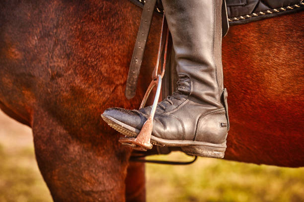 Dressage, rider on a horse, close-up of the rider's Shoe in the stirrup, detailed photo Dressage, rider on a horse, close-up of the rider's Shoe in the stirrup, detailed photo. dog and pony show stock pictures, royalty-free photos & images