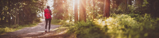 istock Woman hiking and going camping in nature 1296110387