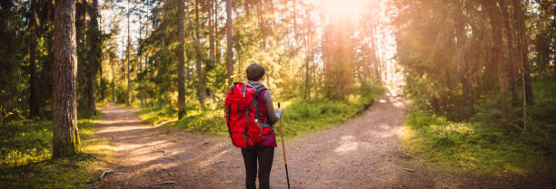 Woman hiking and going camping in nature Woman hiking and going camping in nature. Concept of choosing of a right path at the wildlife area. life choices stock pictures, royalty-free photos & images