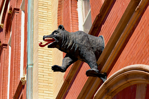 New Bern, North Carolina / USA - April 1, 2017: Close-up view of the Swiss Bear, the symbol of New Bern, on the town’s historic City Hall.