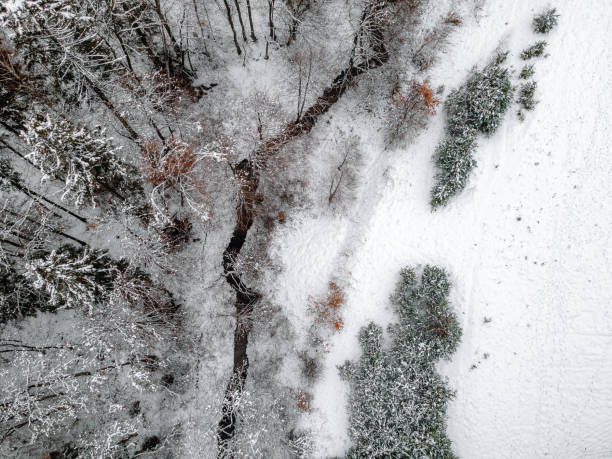 istock a snowy winter forest through which a small river flows, a photo from the air 1296112661
