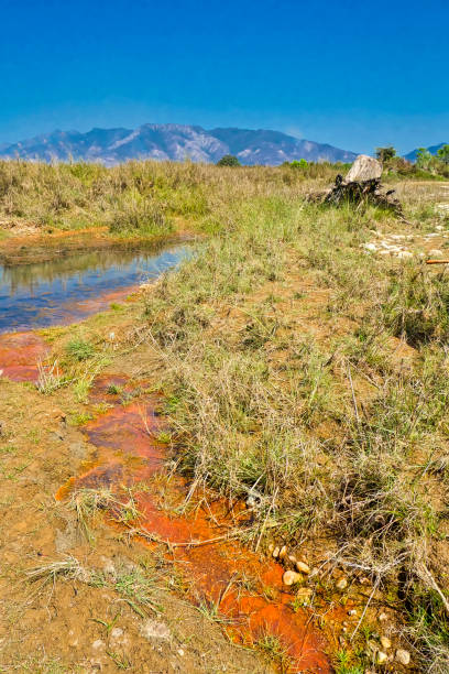istock Babai River, Royal Bardia National Park, Nepal 1296114425