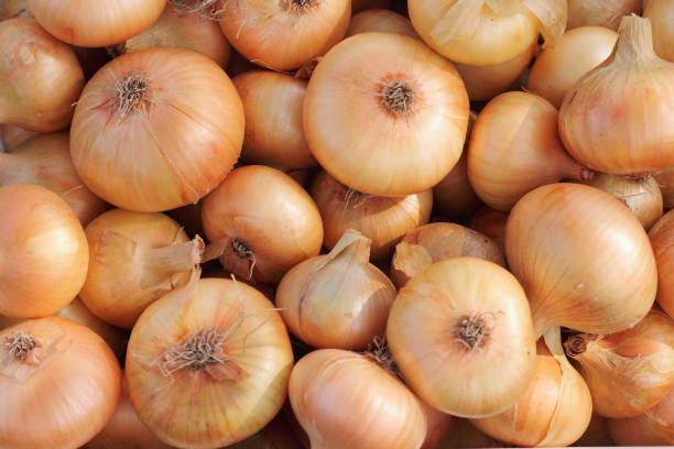 свежий лук в желтом фоне шелухи - onion стоковые фото и изображения