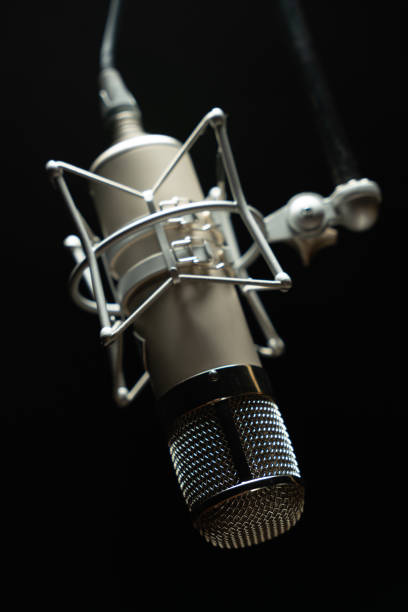 istock Close up of professional condenser microphone 1296117815