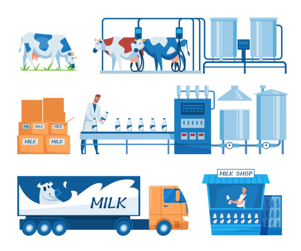 ilustrações de stock, clip art, desenhos animados e ícones de milk production steps set - milk industry milk bottle factory