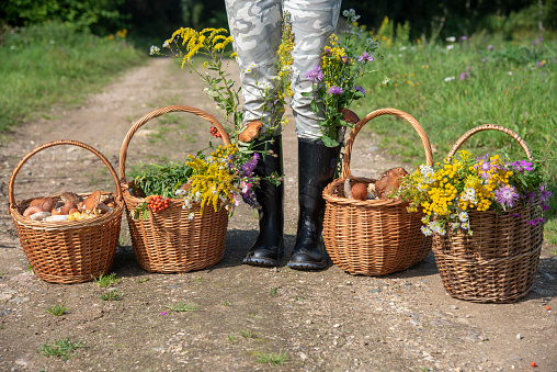 Woman in rubber boots with baskets of mushrooms and flowers on the forest road.The woman is photographed to the waist.
