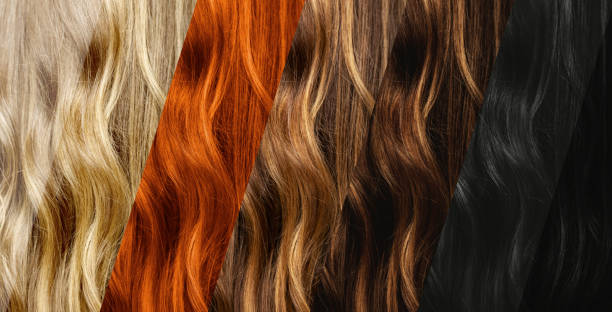 ensemble de différents échantillons naturels de couleur de cheveux. - colorant capillaire photos et images de collection
