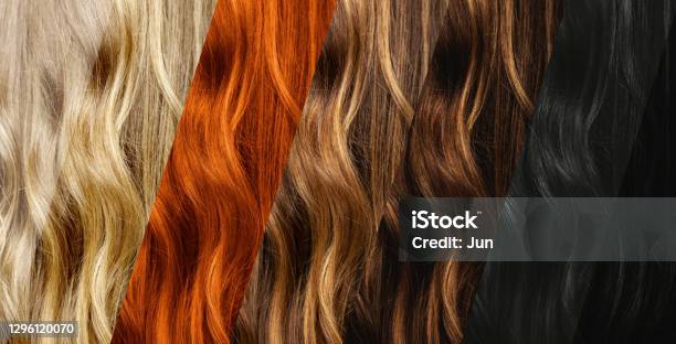 Set Of Different Natural Hair Color Samples Stock Photo - Download Image  Now - Hair Dye, Hair Color, Dyed Hair - iStock