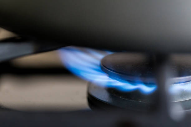 istock Gas hob in the kitchen with blue flames burning 1296120194