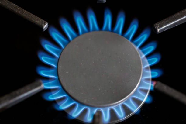 istock Gas hob in the kitchen with blue flames burning 1296120203