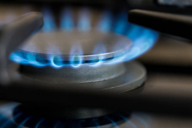 istock Gas hob in the kitchen with blue flames burning 1296120223