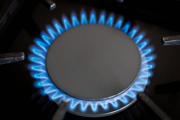 istock Gas hob in the kitchen with blue flames burning 1296120228