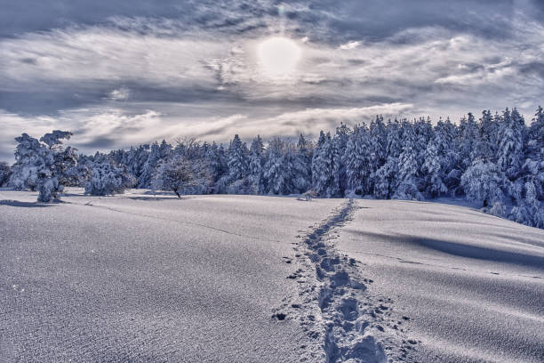 istock Opakua Snow Festival 1296120422